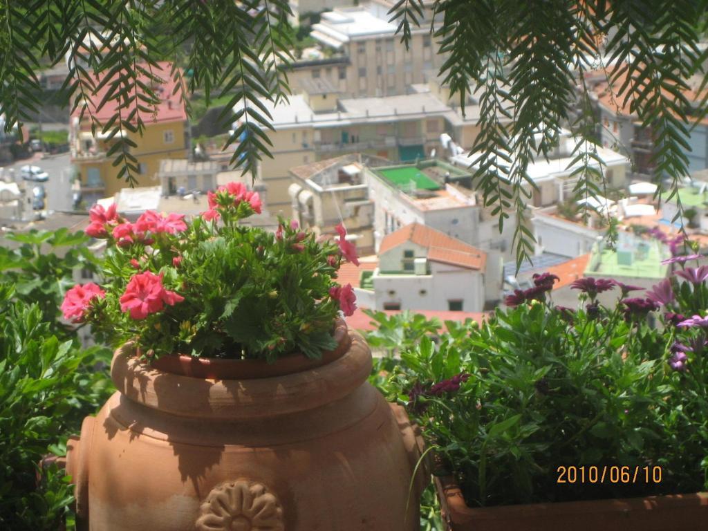 Villa Marietta Minori Extérieur photo