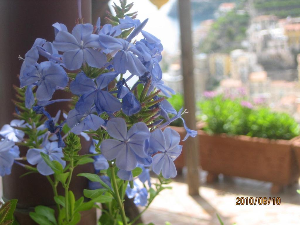 Villa Marietta Minori Extérieur photo