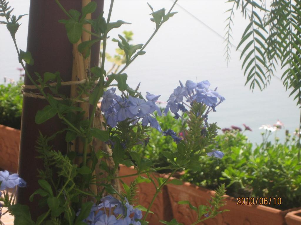 Villa Marietta Minori Extérieur photo