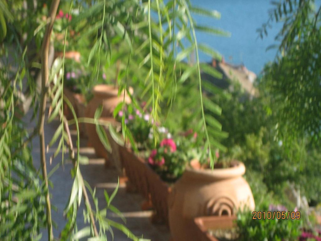 Villa Marietta Minori Extérieur photo